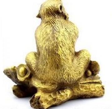 雌性猴子的最佳搭配是什么