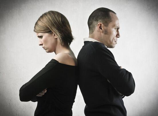 老虎和什么相撞