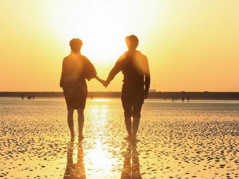 91男羊和95猪女配吗 婚姻好不好