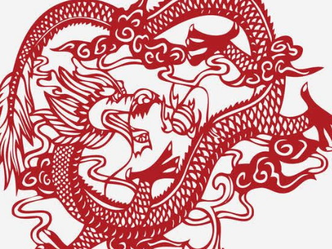 龙的最佳搭配是什么