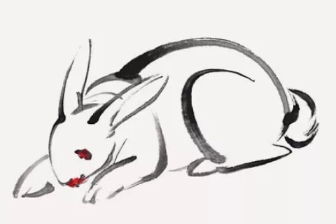 生来享受美好生活的生肖