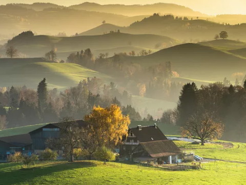 夫妻是否会离婚早已注定。哪些细节可以证明