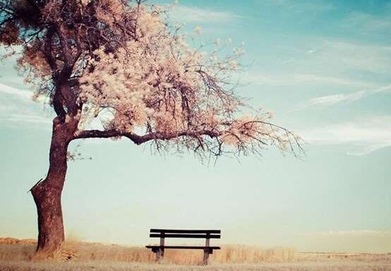 2016年最新唯美伤感短网名