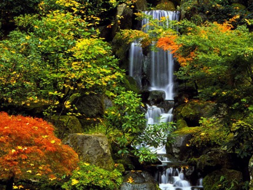 专一的八字 爱情专一的男人八字