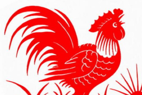 这是2020年鸡人的财富