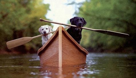 天秤座男人的最佳搭配是什么