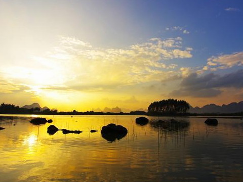 白蜡金女孩和白蜡金男人在一起？两个锡金配吗？