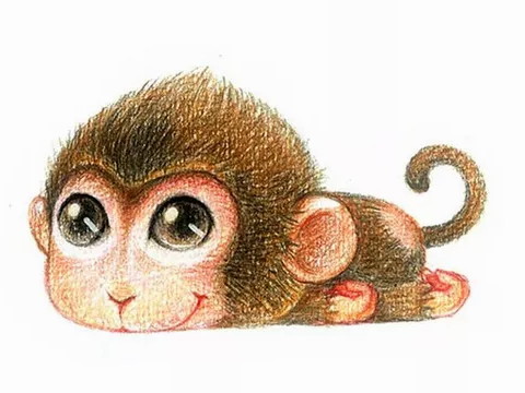 一个出生时是猴子的男孩的命运是什么