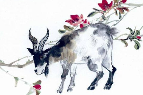 生来就有美好生活的生肖女人