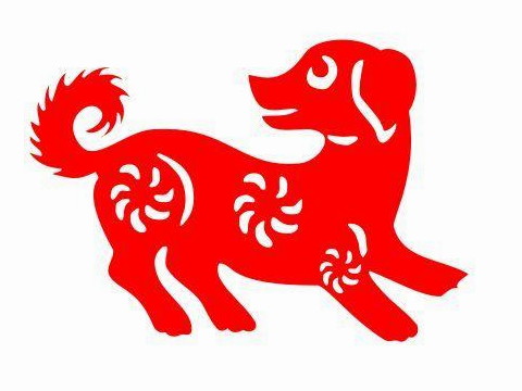 什么生肖男适合母狗的生肖