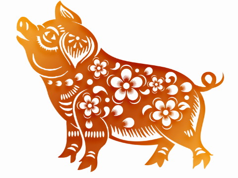 83头猪的一生中还有第二次婚姻吗