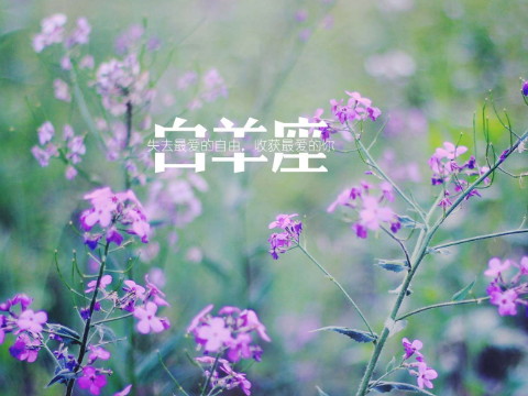 孟晓老师2018年4月处女座运势