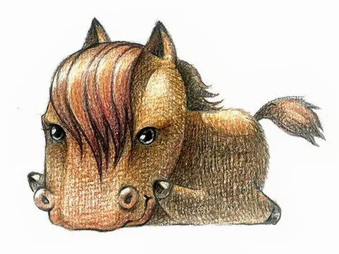 一个马茂出生的男孩命运如何