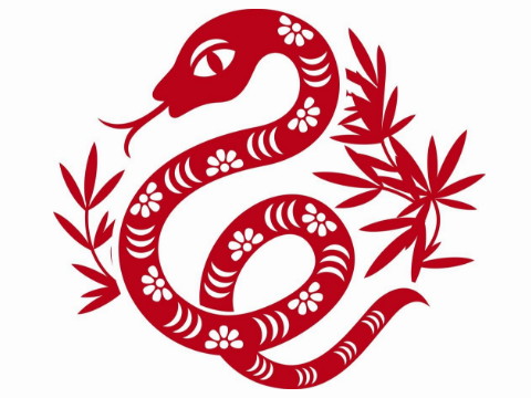 蛇是哪一年的？人出生的年份属于蛇和五行