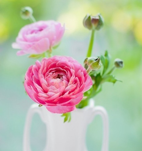 一个字的女生网名