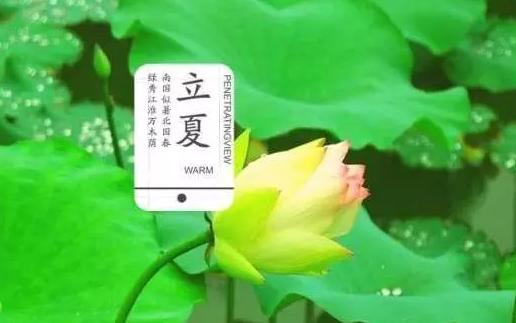 长夏节气知识