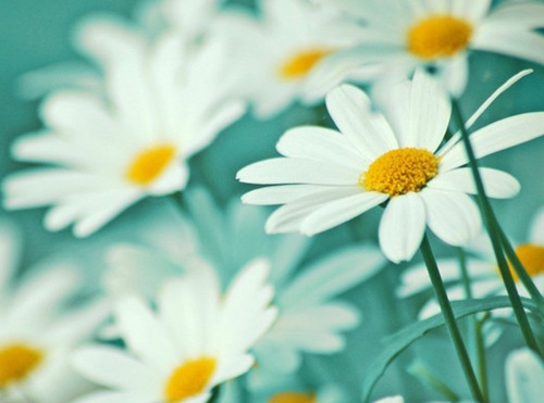 有五个名字的三大游戏是什么