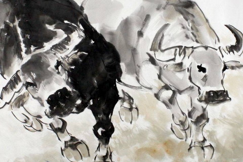 婚后哪个生肖女生活更艰难