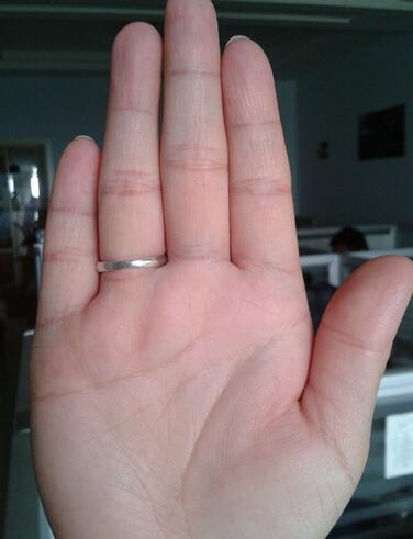 水平运势掌形图