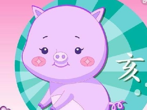 与猪属相容的属