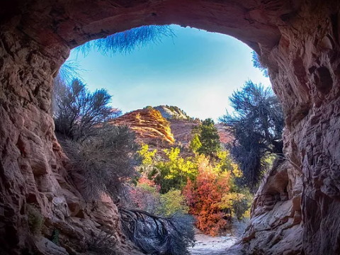 从小受了很多苦的人的命运