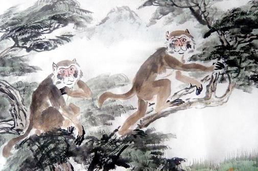 什么样的生肖猴适合