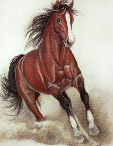 2014年马的命运分析