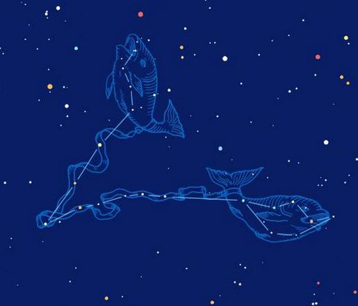 水瓶座遇见双鱼座