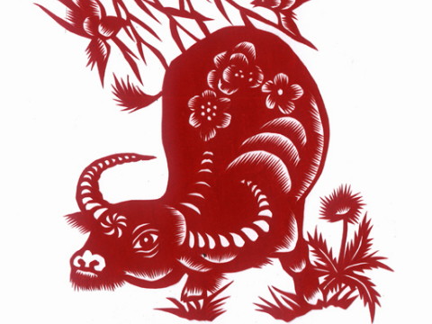 1973年，牛什么时候去的大运会？1973年，牛年大运会是哪一年