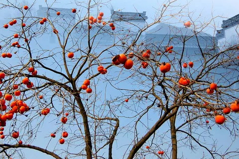 什么八字人赚钱能力强，会赚大钱