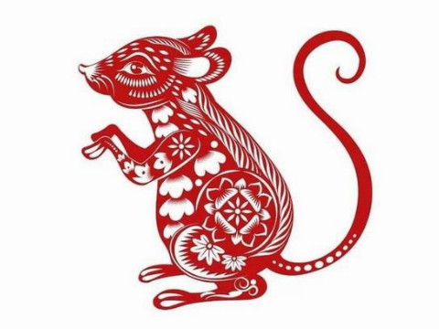 属鼠的人最怕什么生肖