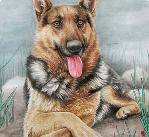 十二生肖狗最佳情感伴侣