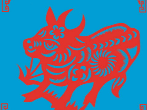 这个出生年份的禁忌是牛可以穿红色