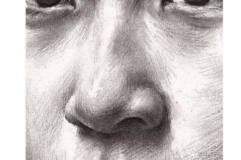 什么形状的鼻子是有福的