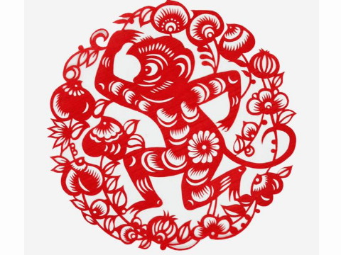 1980年，这只猴子一生有几个孩子