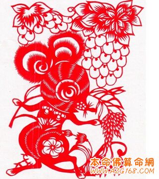 1984年属鼠的人是什么命运