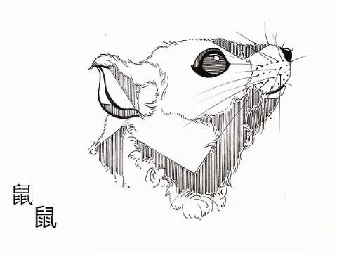 农历的哪一天出生？好运