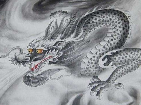 1988年和2021年龙的幸运色是什么