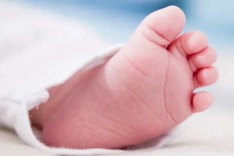 2020年宝宝昵称百科