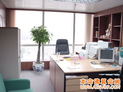 办公室吉祥植物的五种类型——办公室风水植物的布局与注意事项