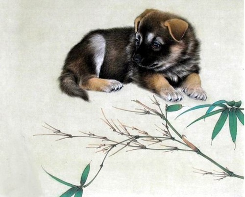 十二生肖狗最佳结婚对象