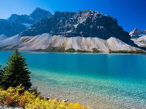 两个木头人会结婚吗?木头人和木头人在一起会怎么样