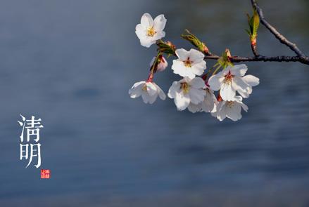 对清明节气的认识