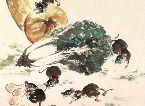 鼠年宝宝是什么时候出生的