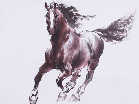 1966年和2021年马的幸运色是什么