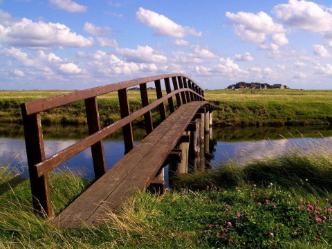 穆明和水明的婚姻好吗