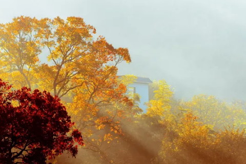 命运无常的八字生活