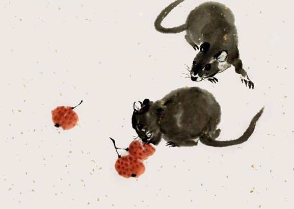 老鼠最好的伴侣就是老鼠最好的伴侣