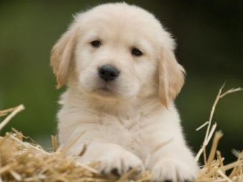 2019年1月14日命理分析