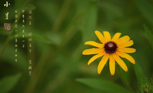 夏季高温节气知识